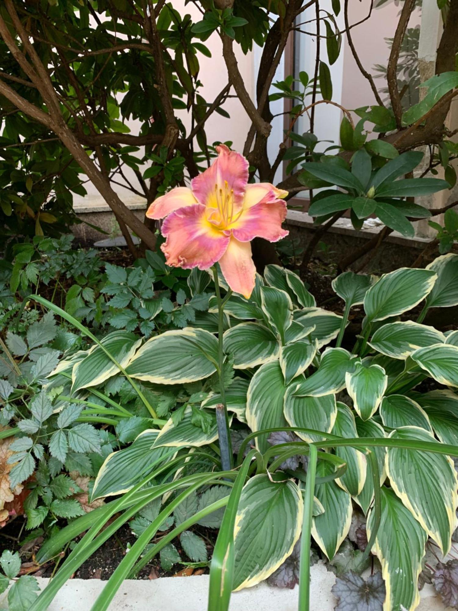 Apartma La Provence 玛丽亚温泉 外观 照片